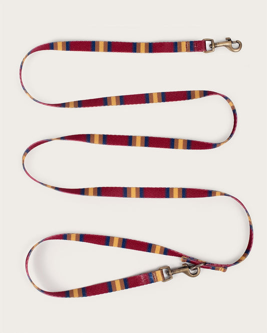 ZION NATIONAL PARK ADVENTURE LEASH